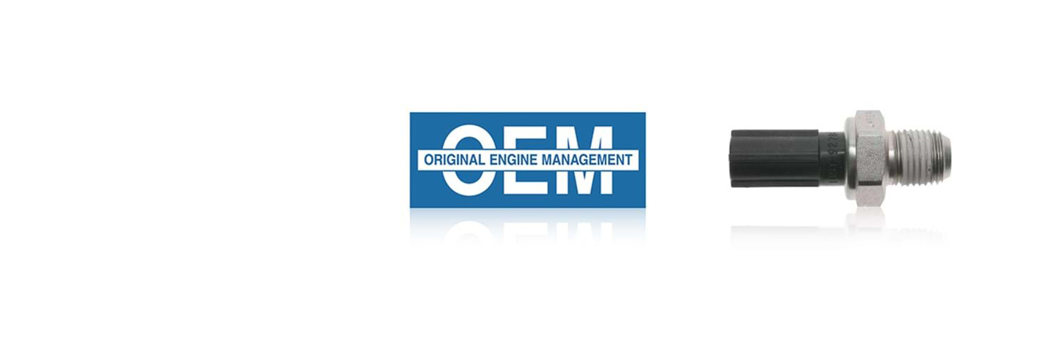 oem-homepage-1jpg